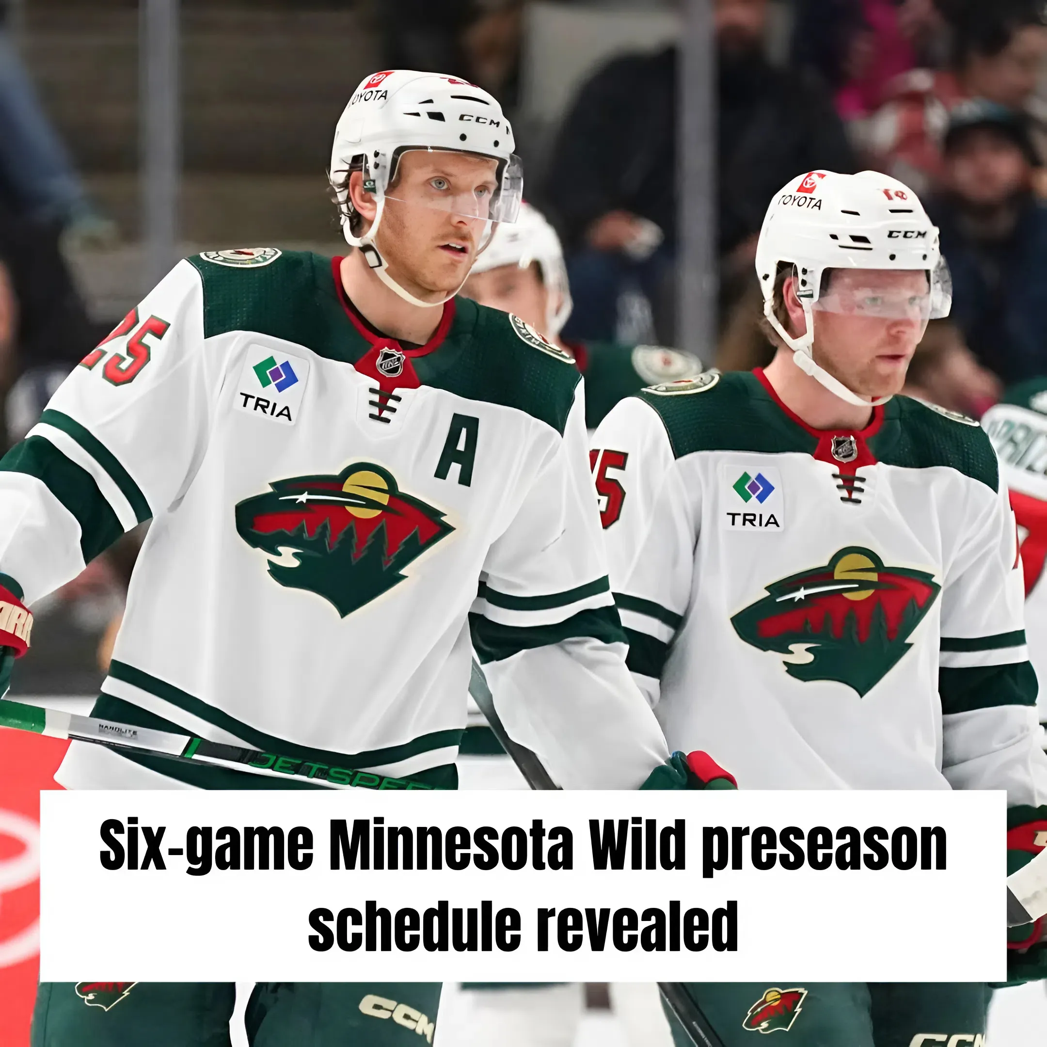Six-game Minnesota Wild preseason schedule revealed