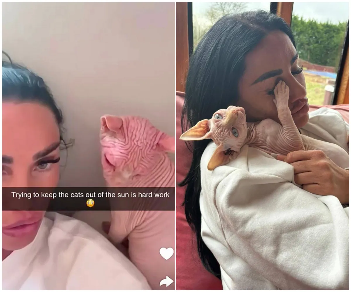 “Her cat is sunburnt – and here we go again”: Katie Price slammed by PETA as a ‘serial animal killer’ after shocking video of burned Sphynx cat reignites fury over long history of pet deaths and negligence - suong