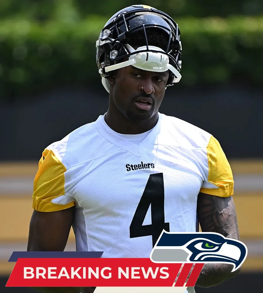 DK Metcalf just took a cheap shot from Steelers royalty