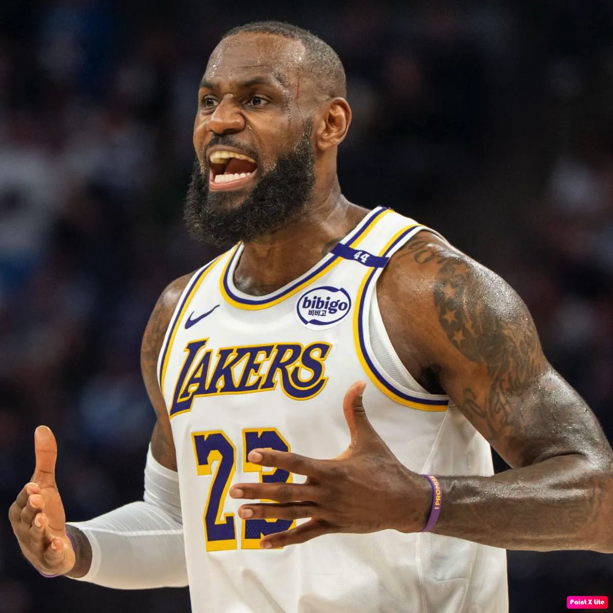 Lakers Miss Out on Free Agent Center Because of LeBron Drama: Report