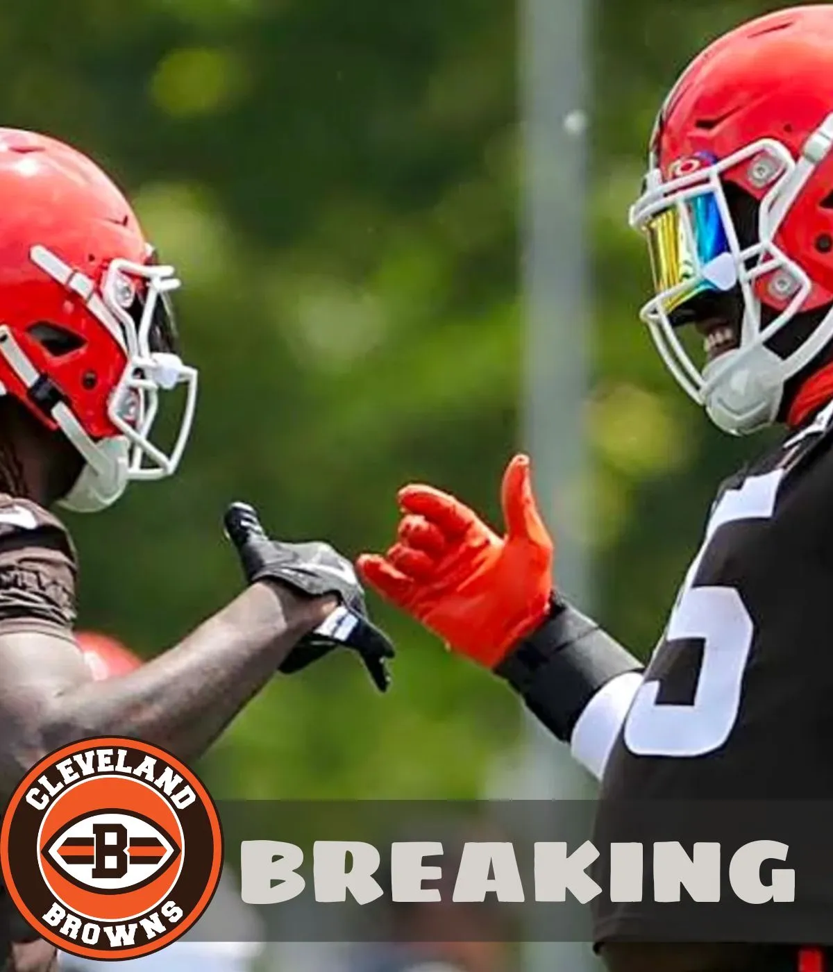 Browns Linked to Trading Playmaker to NFC Super Bowl Contender