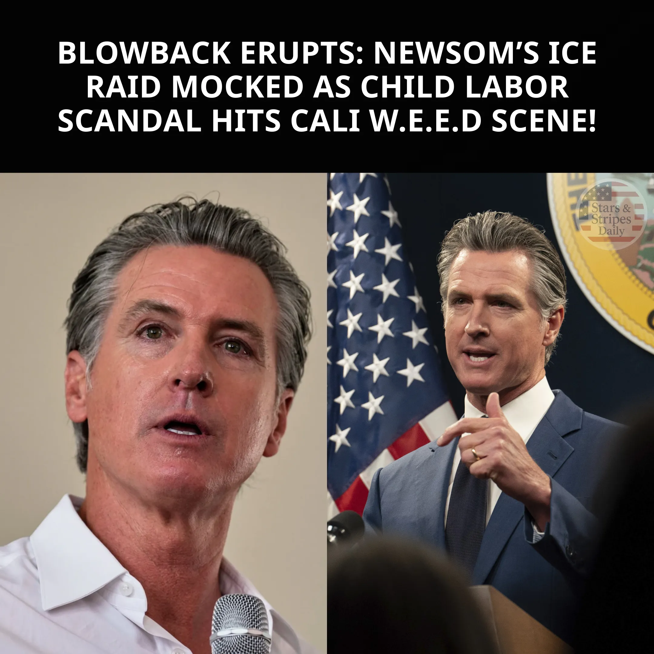 Newsom’s ICE Raid Backlash Explodes After Child Labor Scandal Rocks California Marij.ua.na Industry