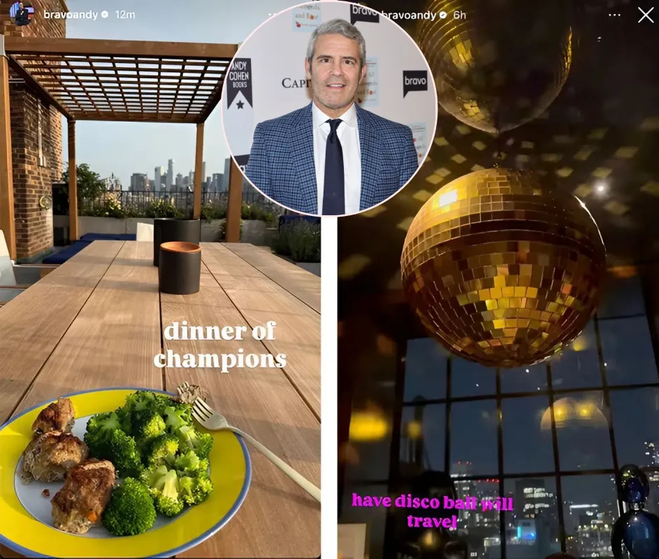 Andy Cohen Unveils His Spectacular New Apartment and Outdoor Sanctuary - A Must-See - lulu