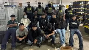 Over 300 arrested in immigration raids at cannabis farms near Camarillo and Carpinteria, DHS says
