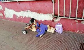 Disabled dog abandoned with a bag of diapers and a note