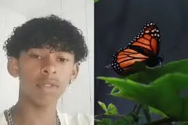 Boy, 14, dies after injecting himself with butterfly in viral online challenge