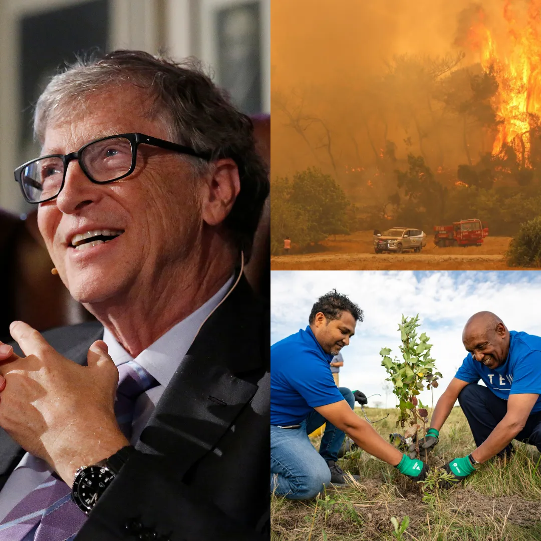 Bill Gates Pledges $100 Million Investment to Restore Grand Canyon Ecosystems After Devastating Wildfire