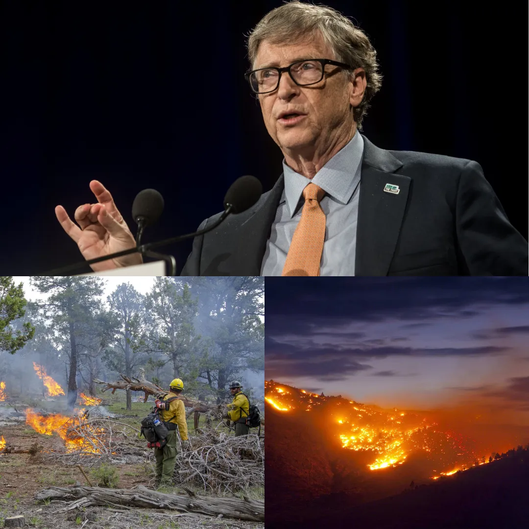 Bill Gates Pledges $250 Million to Combat Wildfire Damage and Restore Ecosystems