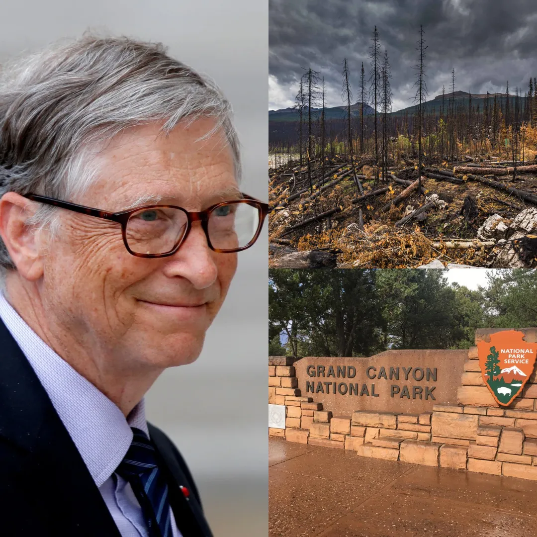 Bill Gates Pledges $75 Million to Restore Grand Canyon National Park After Devastating Wildfire