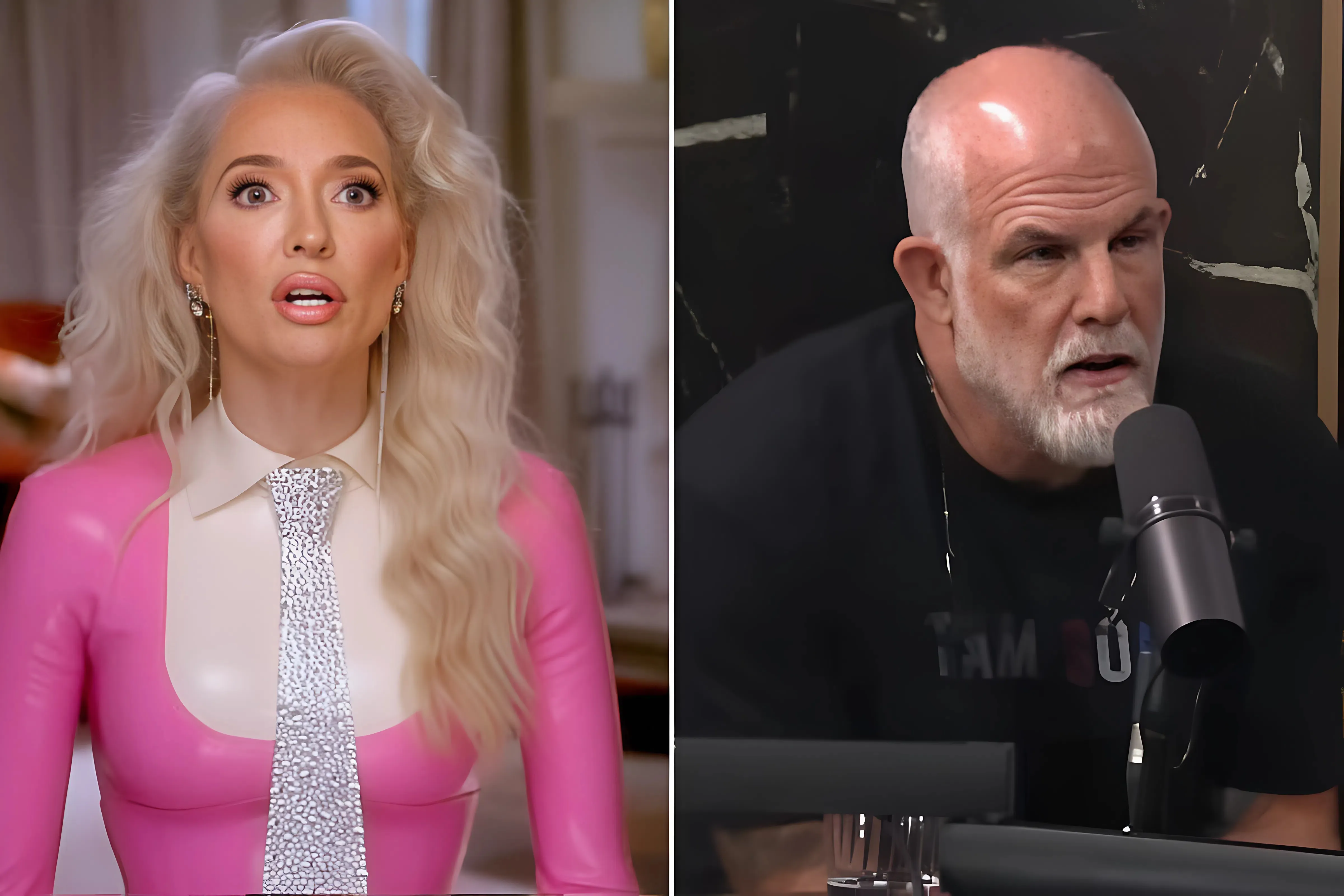 Secret past of Erika Jayne's new boyfriend 'Shrek' revealed... and his salary as a celebrity bodyguard