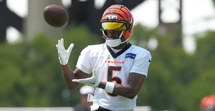 Super Bowl champion compliments Tee Higgins in a way that further validates what the Bengals did this offseason