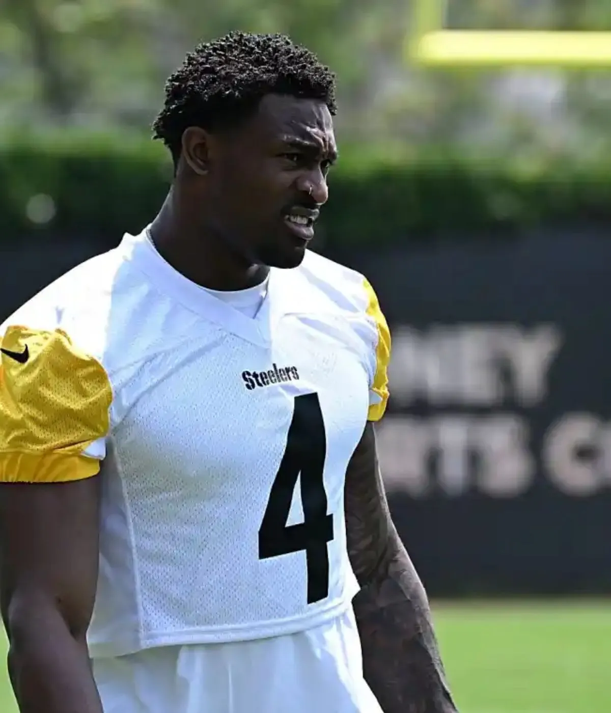 NFL’s Opinion on DK Metcalf May Spell Trouble for Steelers’ Offense