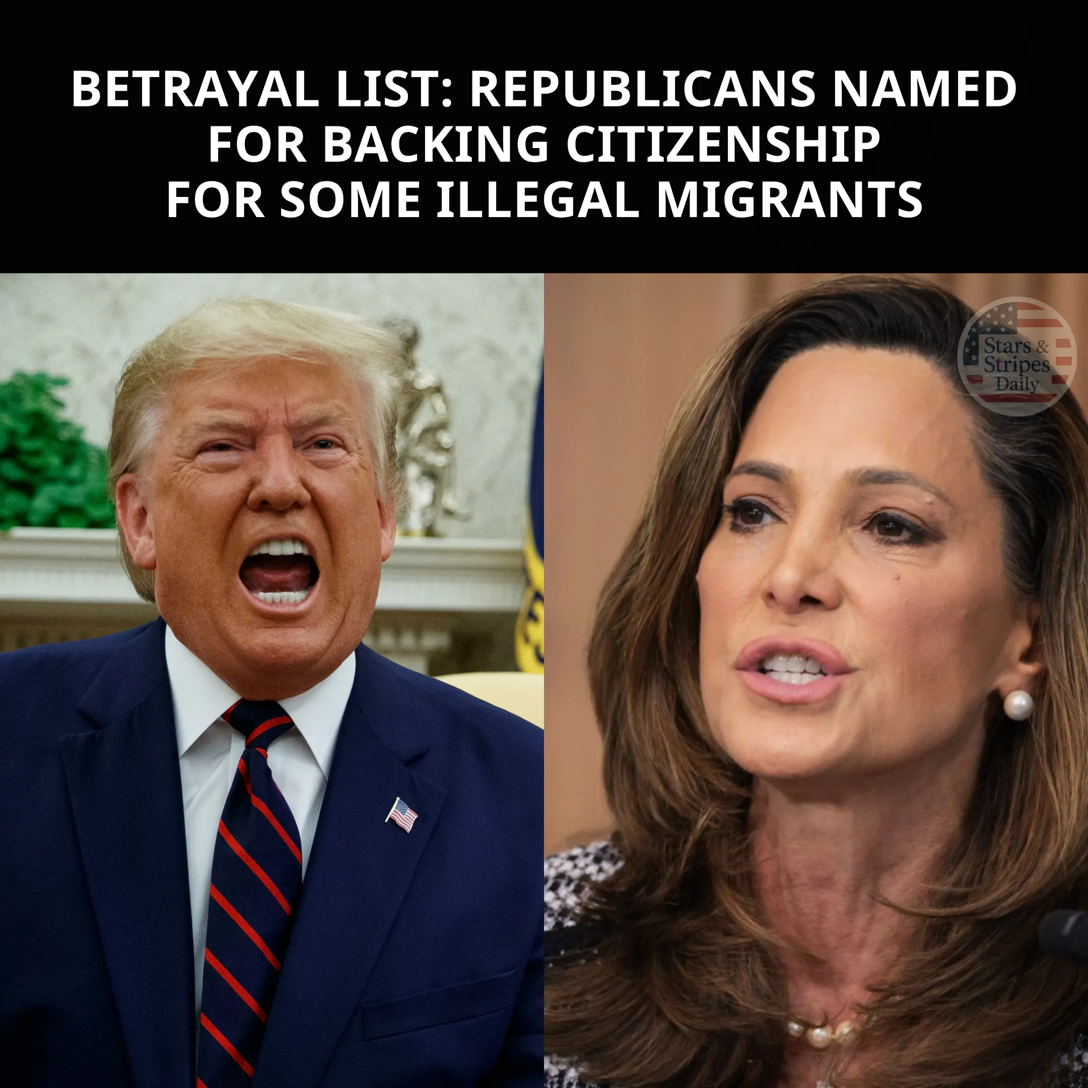 Just In: List reveals Republicans supporting citizenship for certain illegal migrants