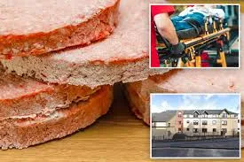 Loner stabbed himself to death trying to separate two frozen burgers with a knife
