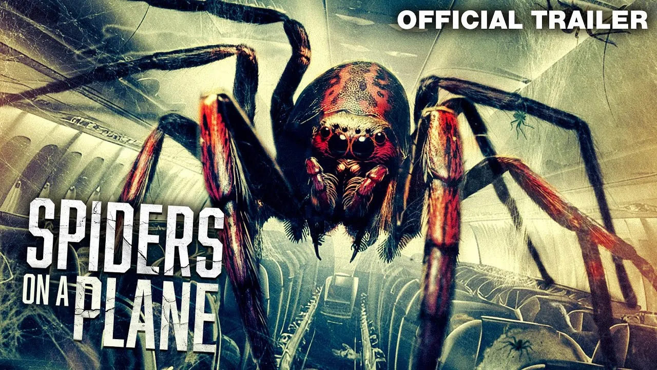 Spiders on a Plane (2024)