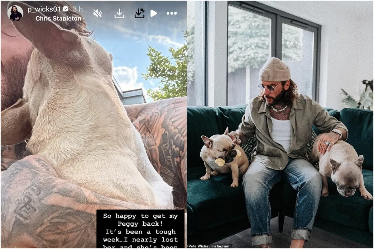 Pete Wicks confesses he's had a 'tough week' as he's reunited with beloved dog Peggy after nearly 'losing her' ngocc