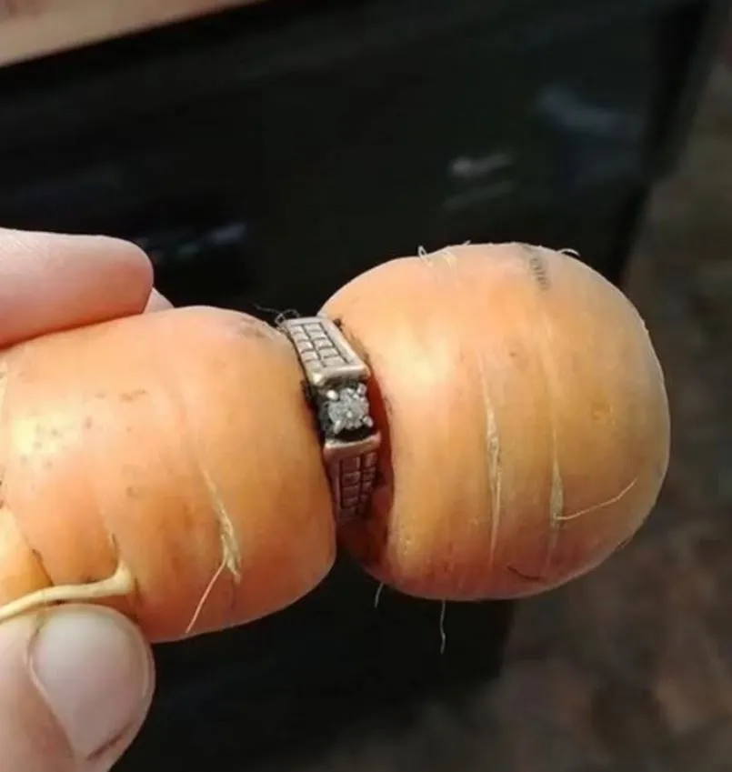 Woman Lost Her Engagement Ring While Gardening Finds It 15 Years Later Around Carrot