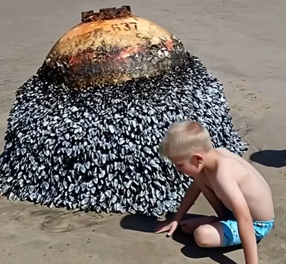 What This Dad Captured at the Beach Sparked an Urgent Response