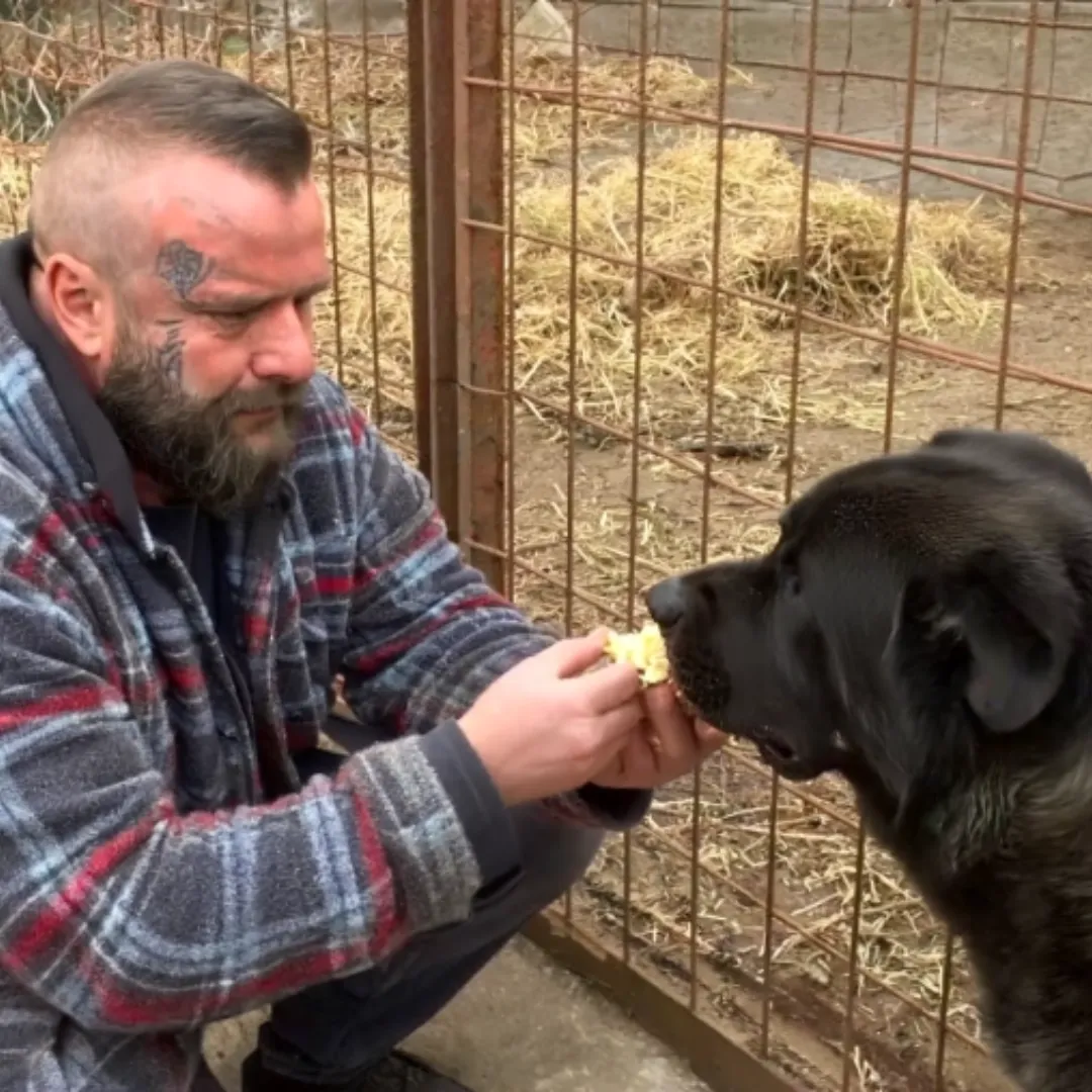 He Shouldn’t Have Been There—But He Recognized Me Instantly