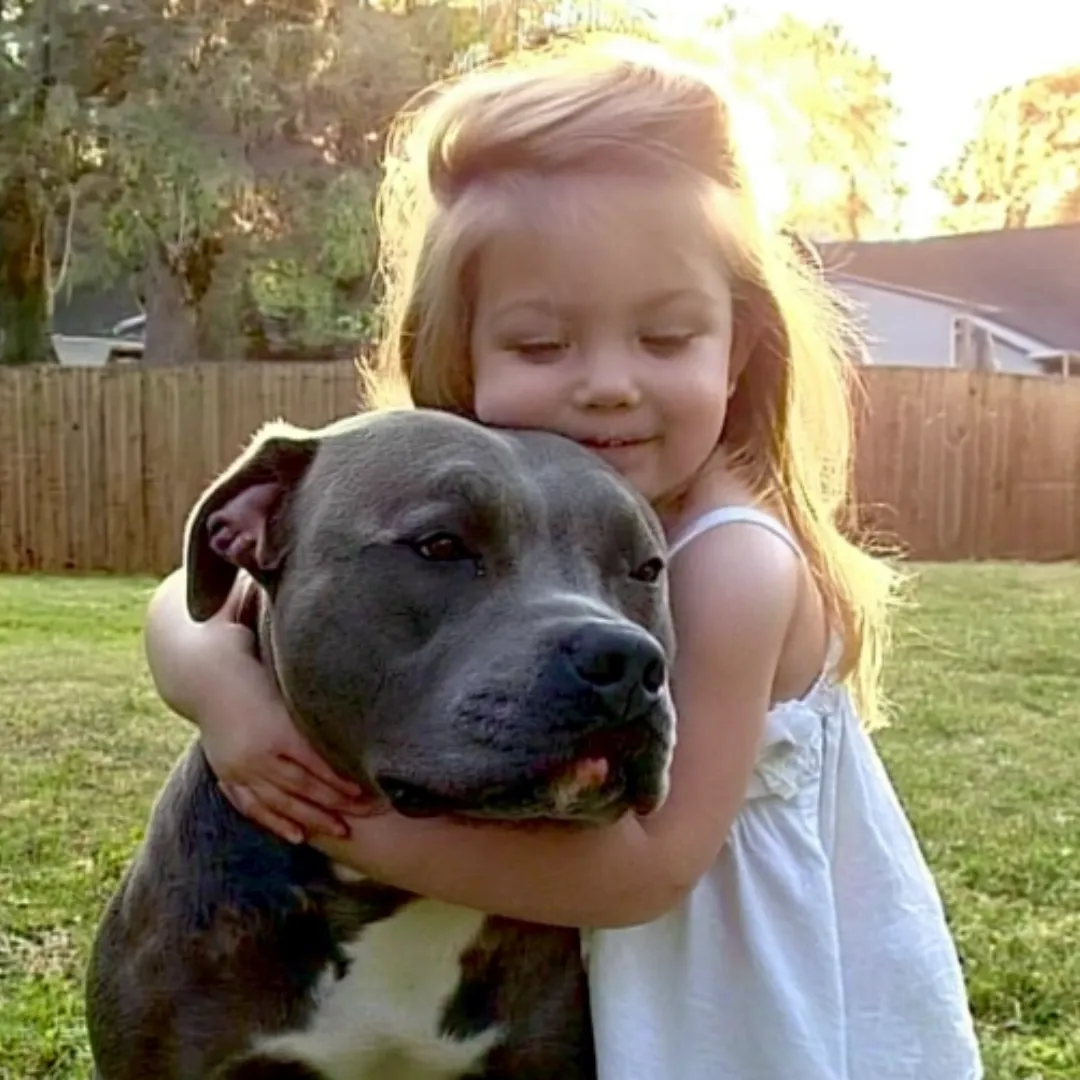 They Called Our Dog Dangerous—She Proved Them Wrong Daily