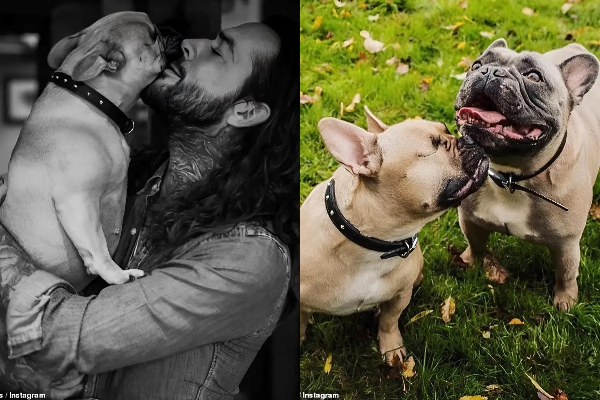Pete Wicks confesses he's had a 'tough week' as he's reunited with beloved dog Peggy after nearly 'losing her' liennhi