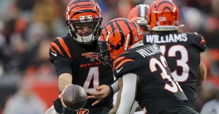 Former Bengals QB AJ McCarron not giving up football career just yet
