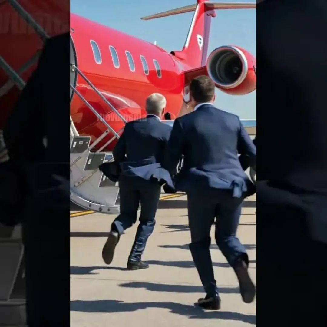 K-9 Hero Halts Plane on the Runway, What This Dog Found Will Shock You