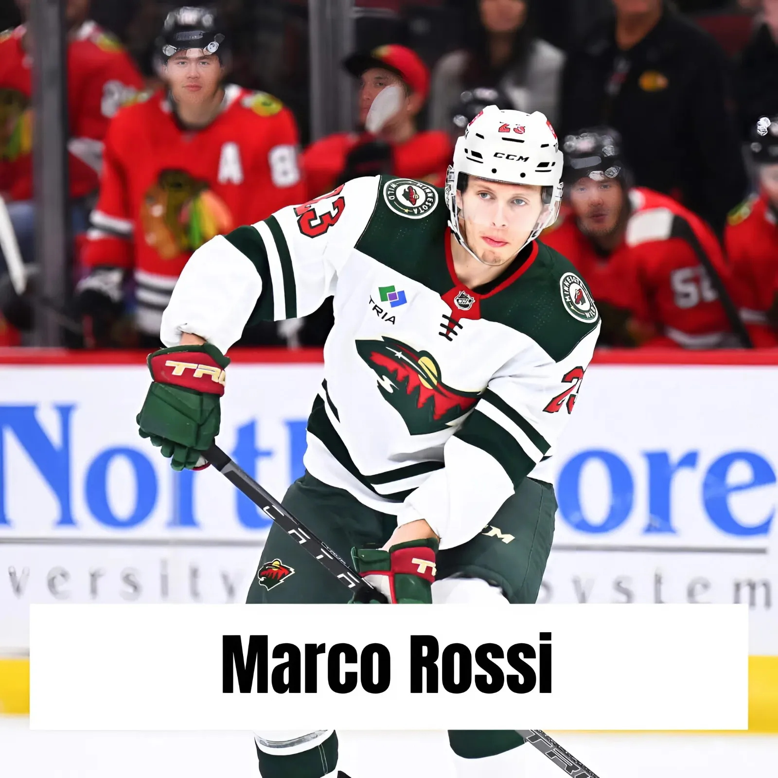 Analyst Predicts Quiet Summer for Wild RFA
