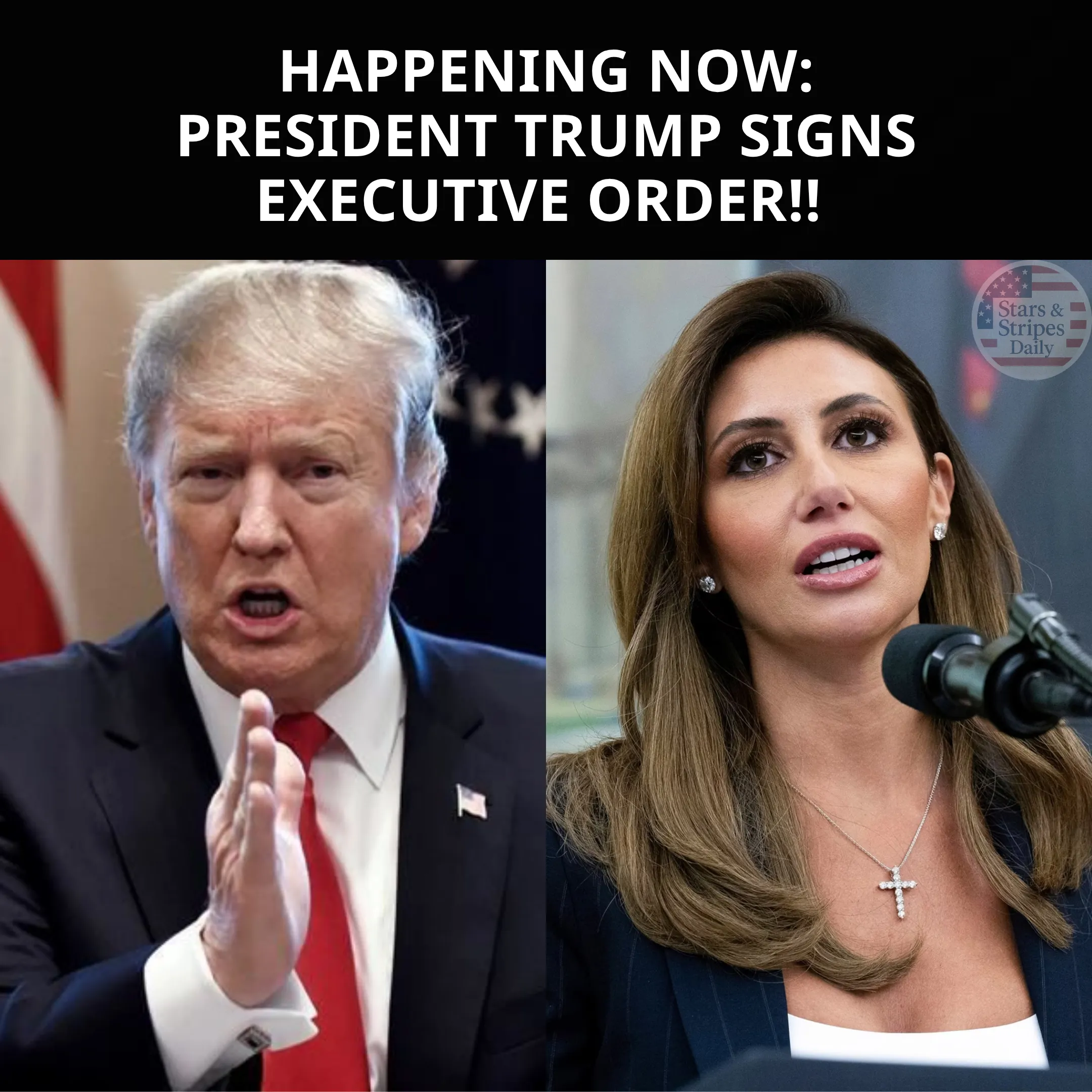 President Trump Signs Executive Order to Remove Homeless From Streets and Redirect Funds to Treatment