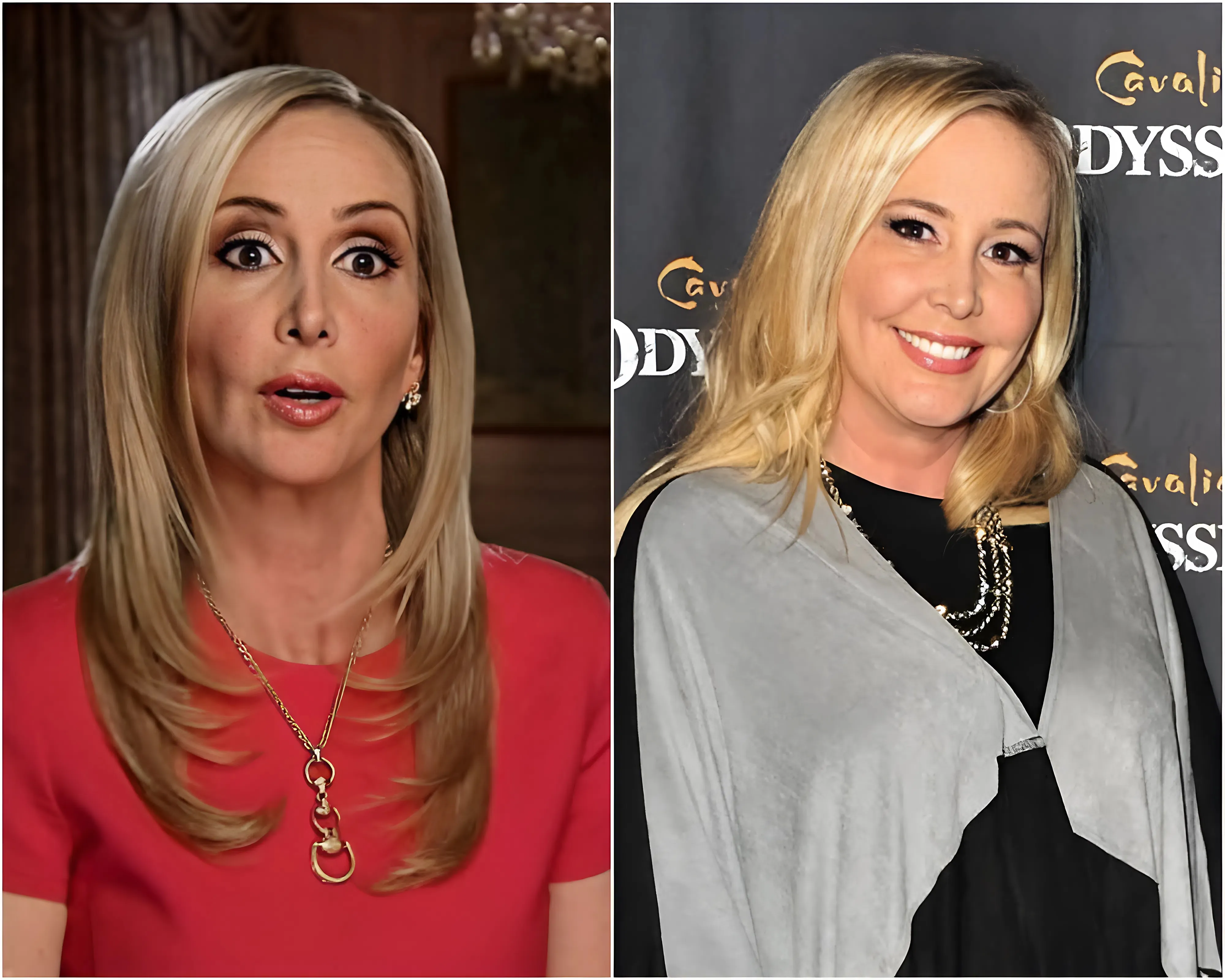RHOC SHOCKER: What Really Happened to Shannon Beador in 2016? Fans Think a TWIN Took Her Place — And the Clues Are Chilling
