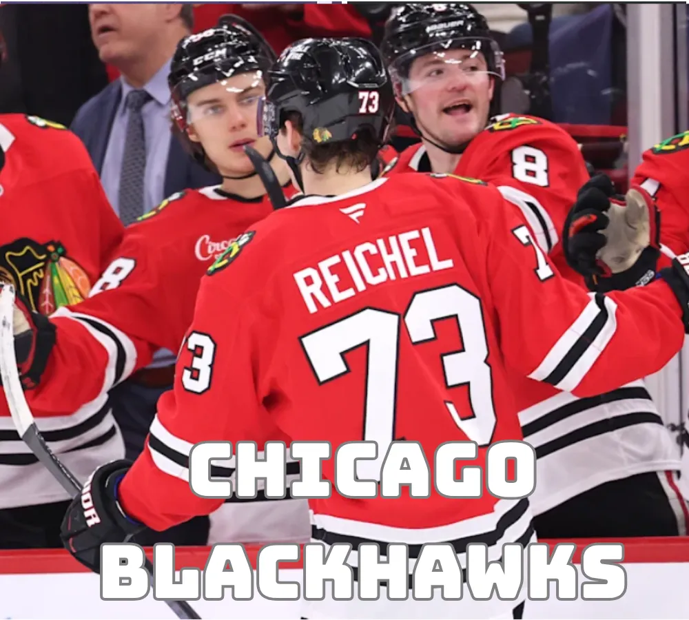 Reports reveal Blackhawks have been getting offers for one of their young forwards
