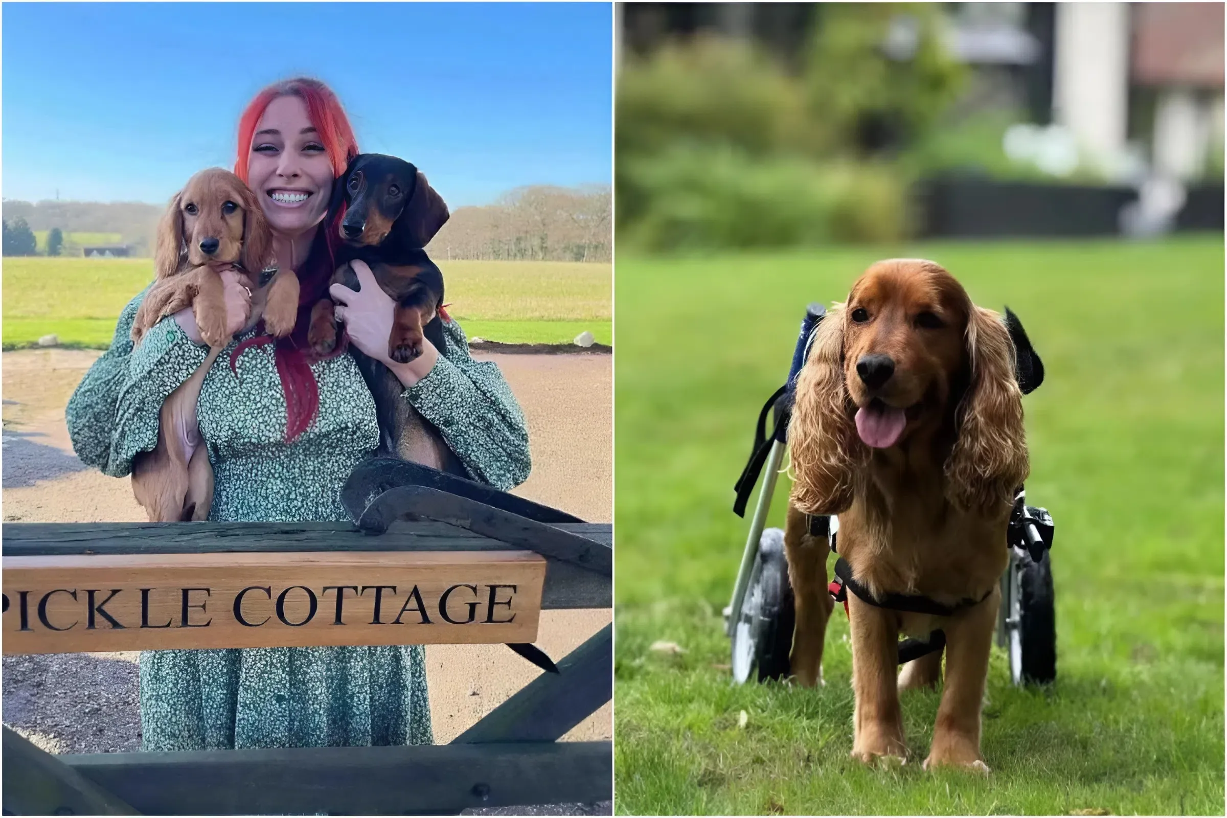 Stacey Solomon Shares Emotional Update on Beloved Dog’s Health After Emergency Surgery, Urges Fans to ‘Be Kind’ trucc