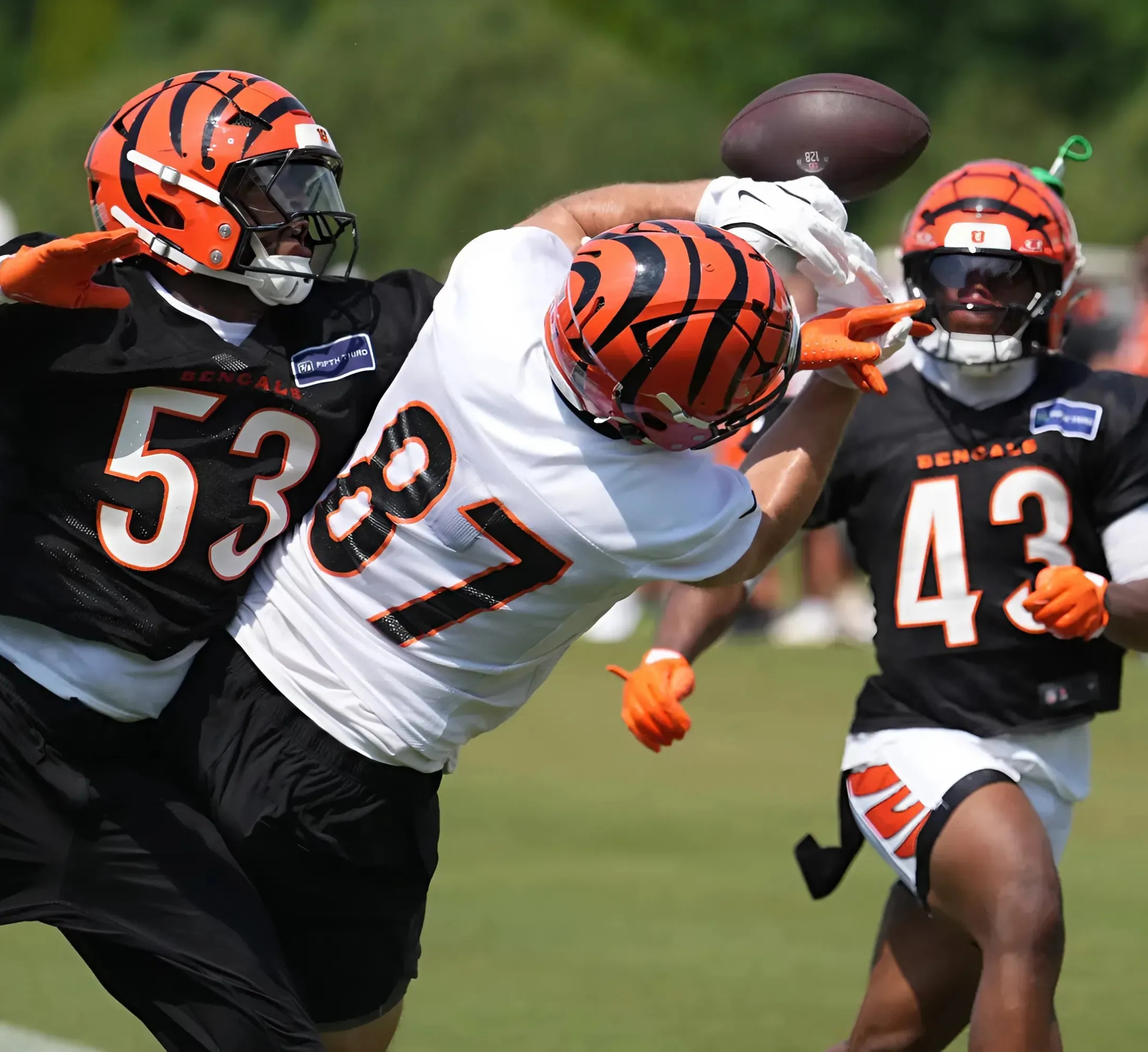 The biggest training camp battles to watch for the Cincinnati Bengals