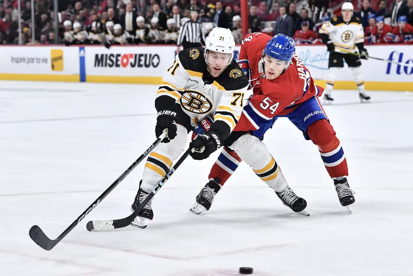 Bruins’ Jordan Harris Signing Flies Under Radar Bruins’ Jordan Harris Signing Flies Under Radar