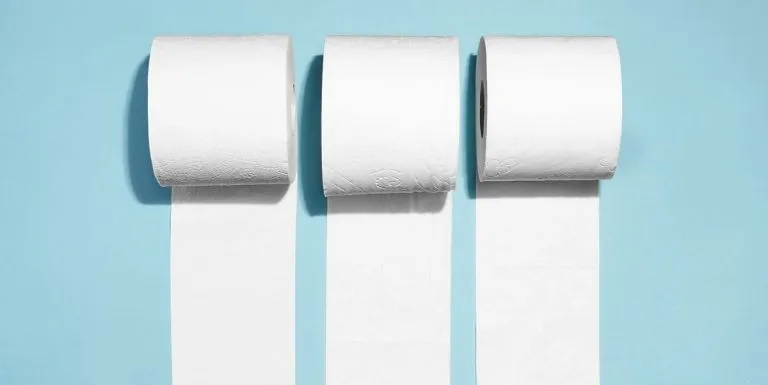 PP1. Is toilet paper coming to an end? It may soon take the place of our regular rolls.