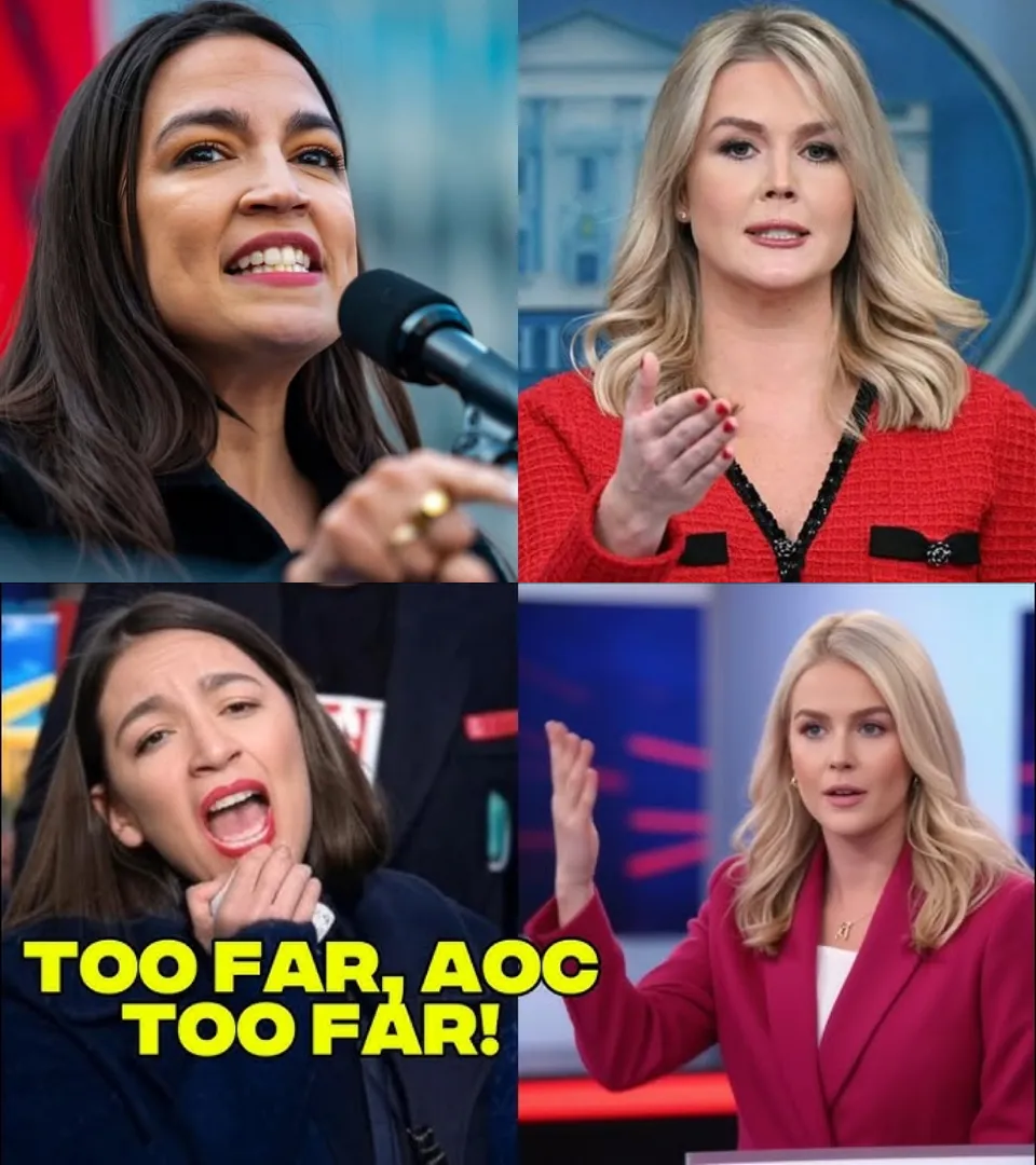 $90 MILLION AND ONE LINE THAT SHUT AOC DOWN: Karoline Leavitt Becomes the Center of Attention for Saying What Everyone Else Was Afraid To