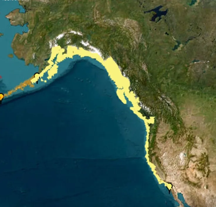 California hit with tsunami waves after massive 8.8 magnitude earthquake