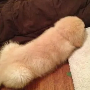 SS4. 10 PHOTOS THAT PROVE YOU HAVE A D*RTY MIND
