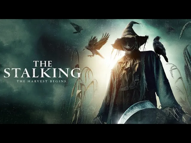 The Stalking (2024) – Terror Sprouts in Suburbia