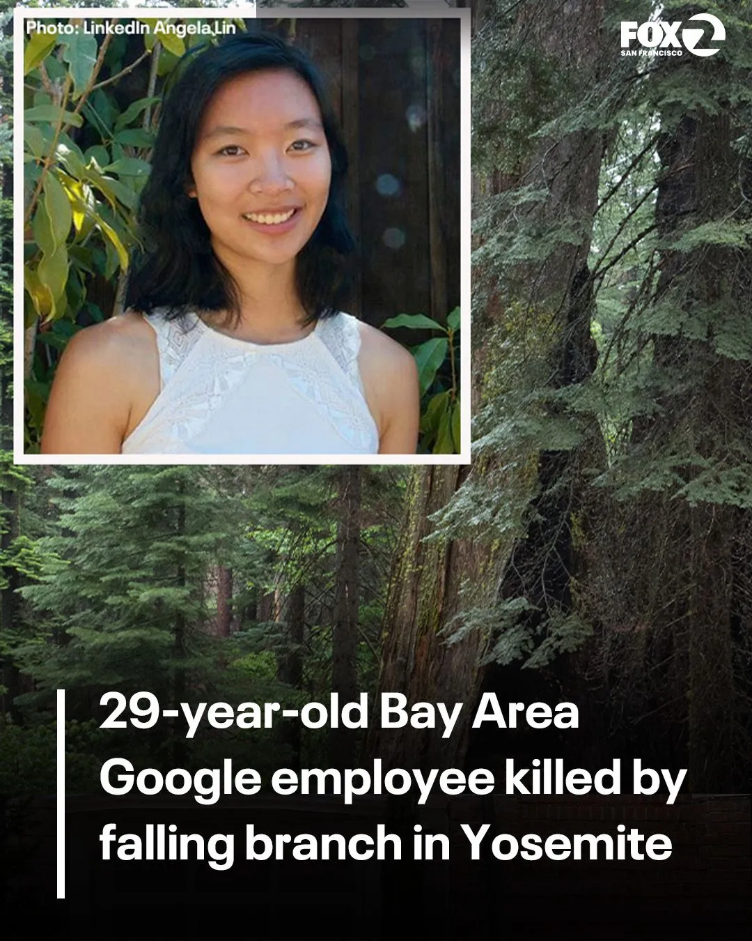 Falling branch at Yosemite strikes and kills 29-year-old Google employee