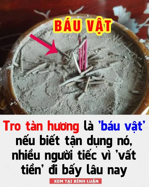 Tro tàn hương là 'báu vật' nếu biết tận dụng nó, nhiều người tiếc vì 'vất tiền' đi bấy lâu nay