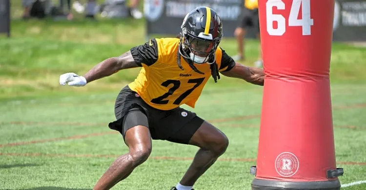 Steelers Defender Gets Hit With Another Devastating Injury After Overcoming Several Setbacks