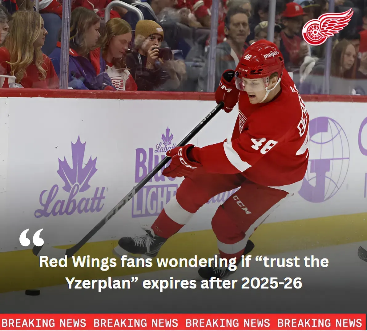 Berggren Breakout? Red Wings' Jonatan Berggren Makes Major Bet On Himself