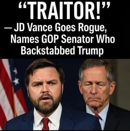 VP JD Vance Breaks Senate Tie To Advance $9.4 Billion Rescissions Package
