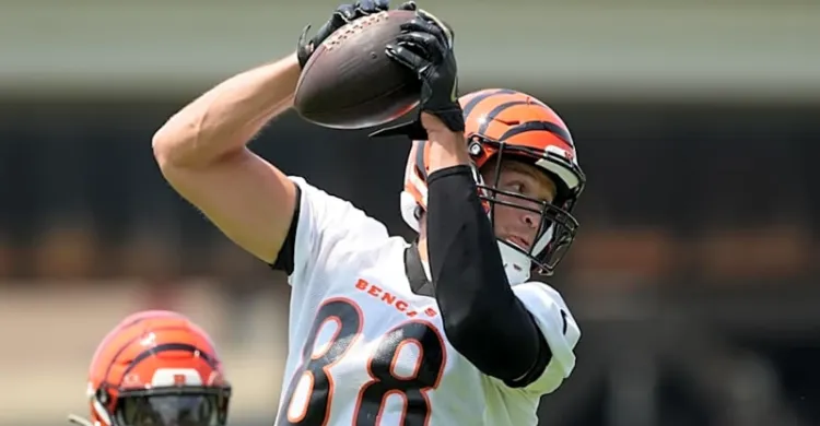 Cincinnati Bengals Starter Appears to Suffer Injury in Practice Saturday Night