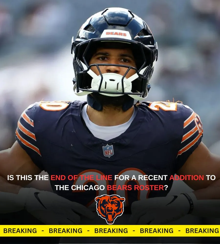 Ben Johnson looks ready to move on from a failed Bears signing