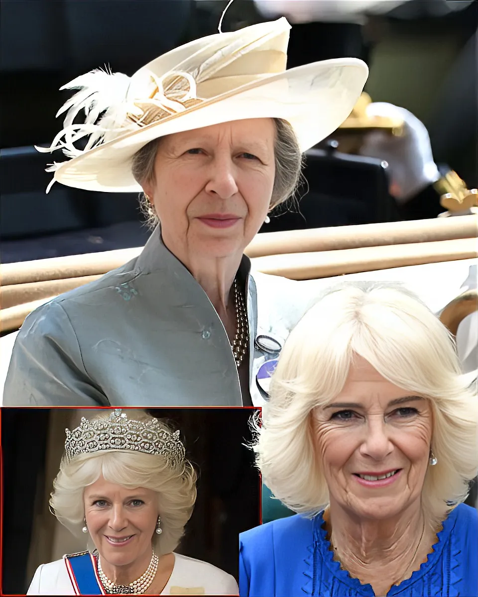 She Left in Tears: Inside Queen Camilla’s Painful Clash with Princess Anne That Shook the Palace