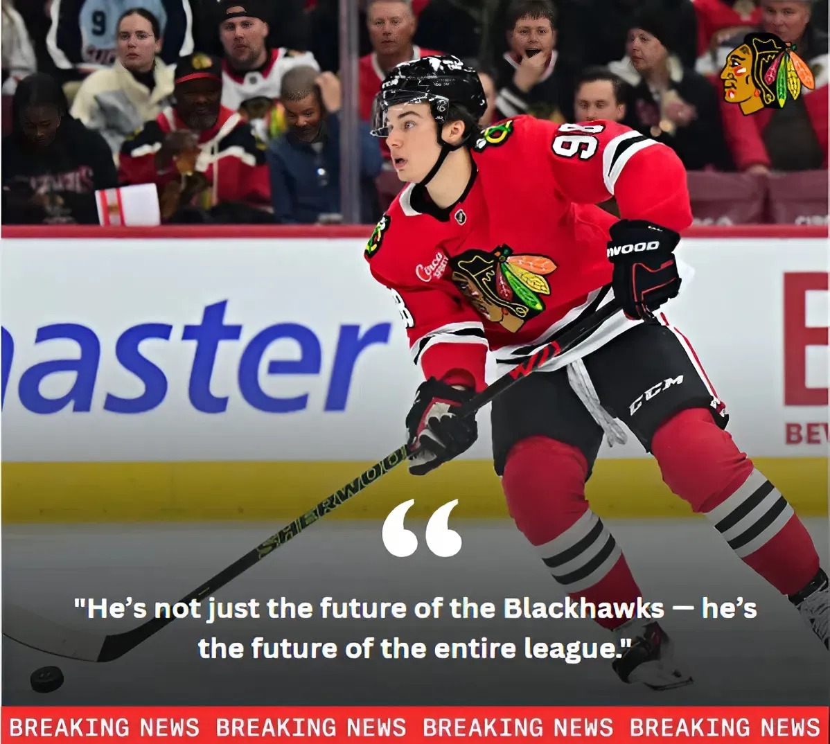 Connor Bedard Could Be A Future EA Sports NHL Cover Athlete