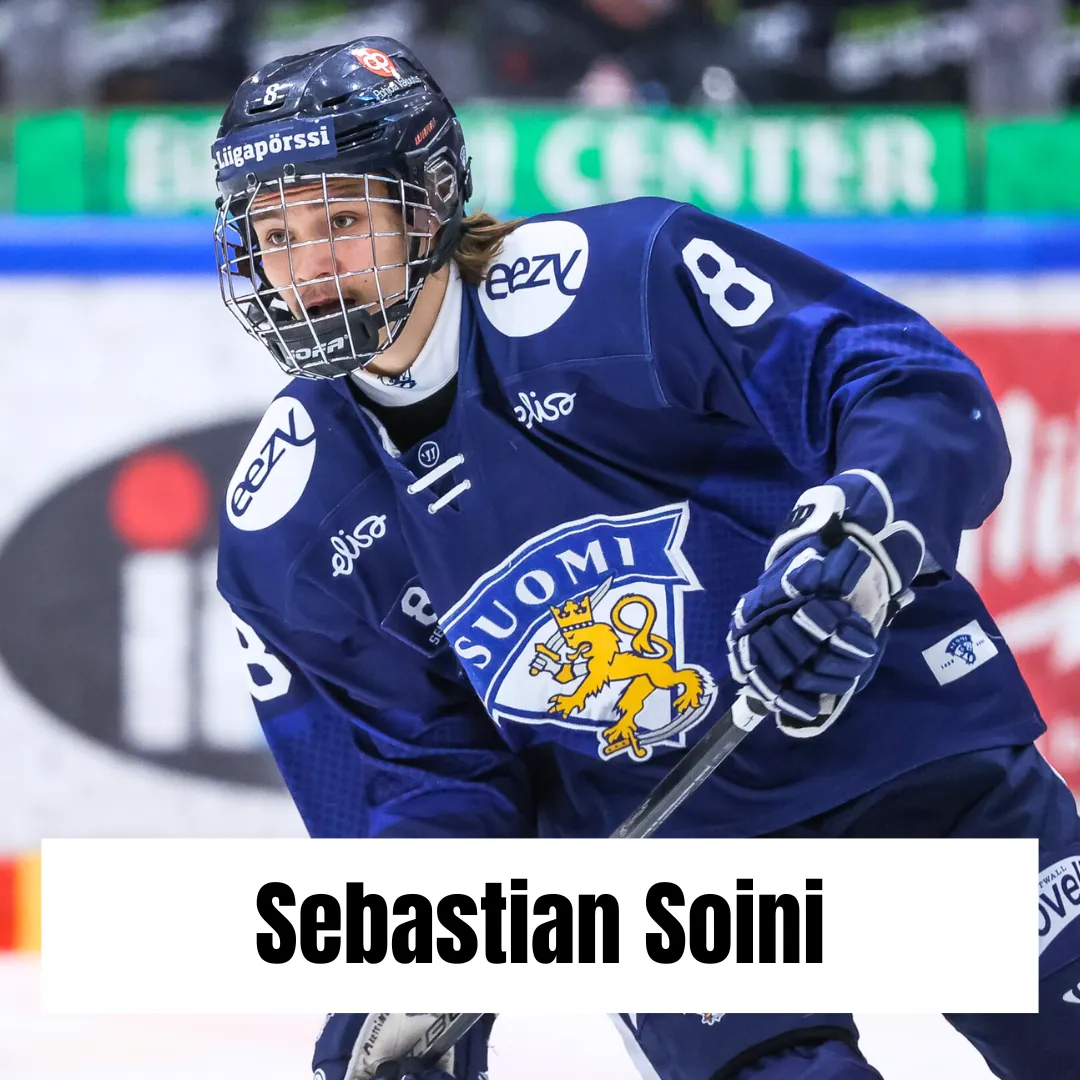 Sebastian Soini's Got Game
