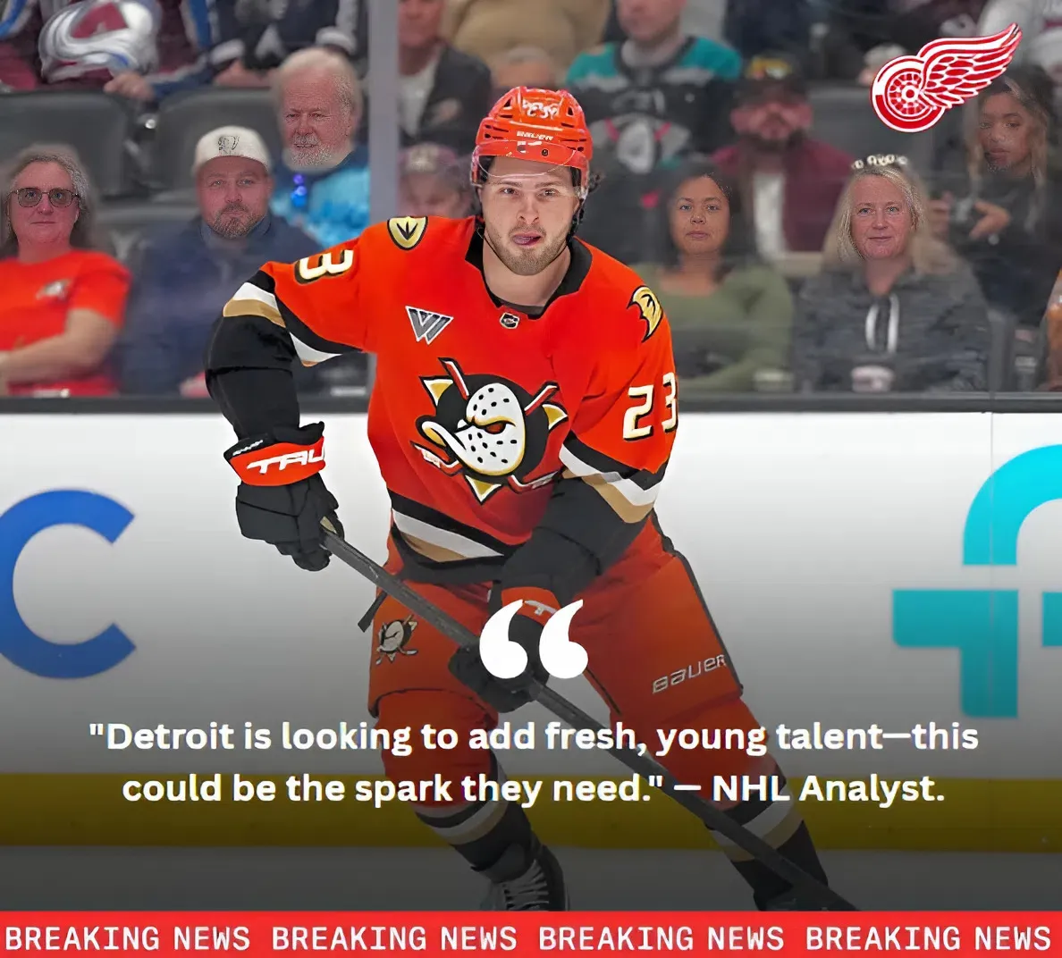 Detroit Red Wings Linked To Anaheim Ducks 22-Year-Old Forward